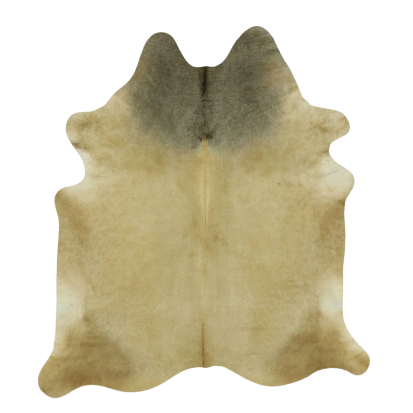 Nelore Brown Premium Brazilian Hide, XL CH72N #1276 7'x7'