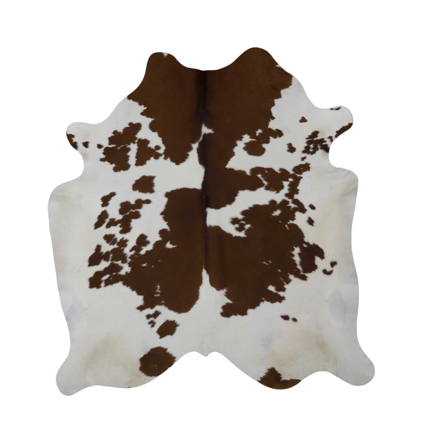 Brown & White, Dark Premium Brazilian Hide, XL #381 6'x6'
