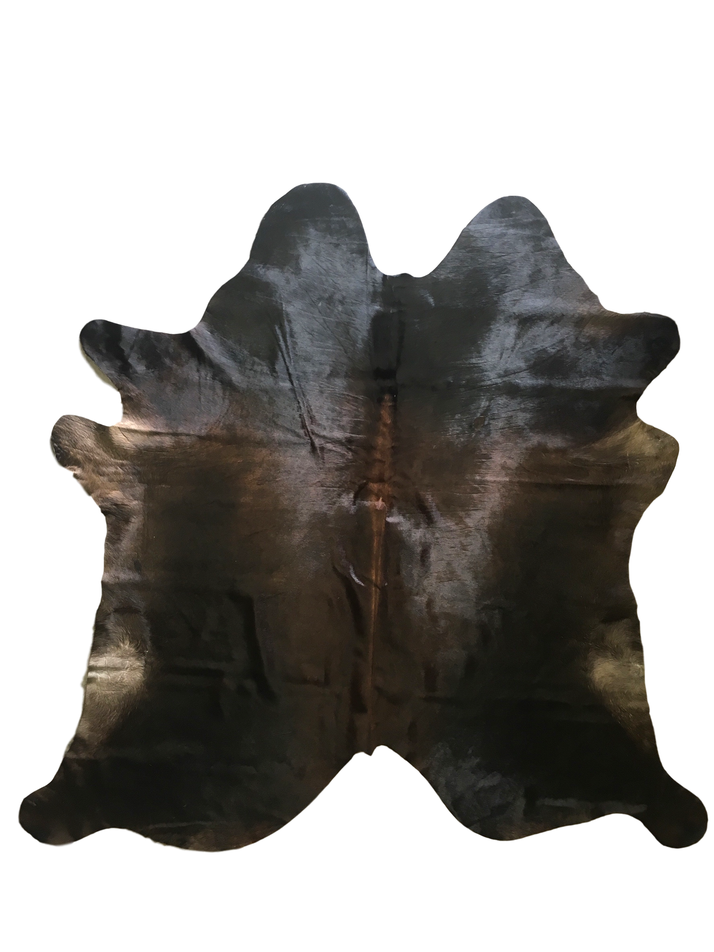 Burnished Mahogany Premium Brazilian Hide, XL CH33N W