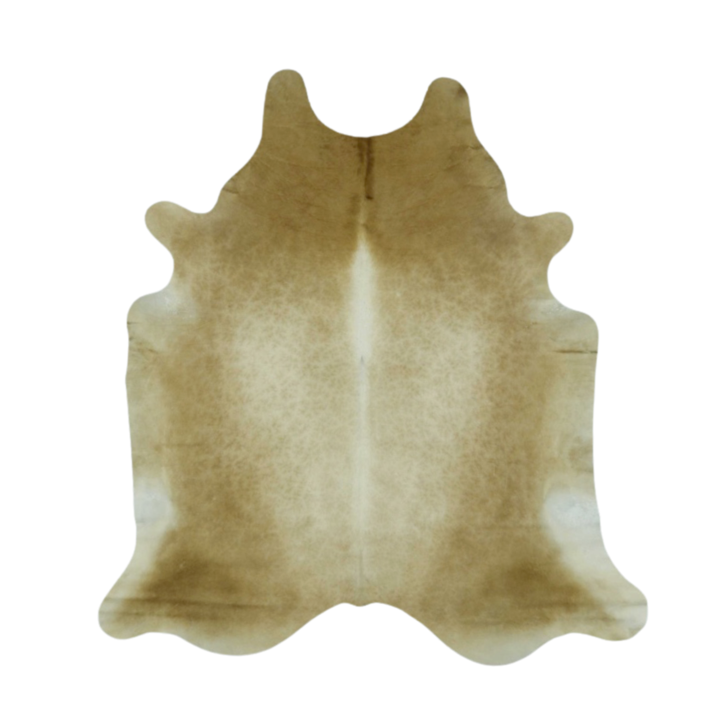 Dark Beige Solid Premium Brazilian Hide, XL #1994 6'x7'