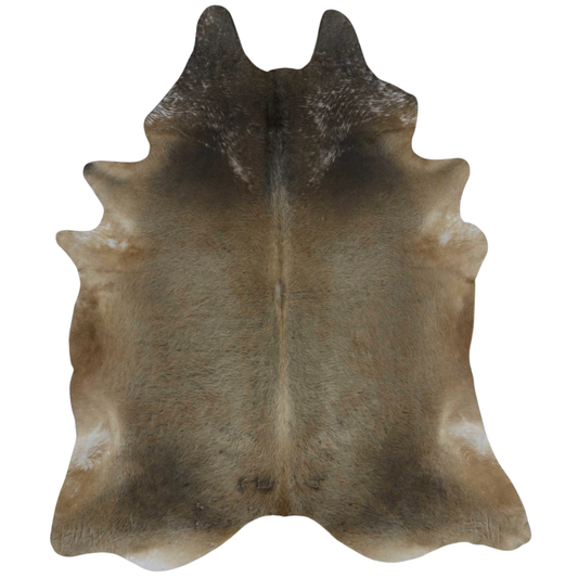 Nelore Premium Brazilian Hide, XL CH70N #212 7'x8'