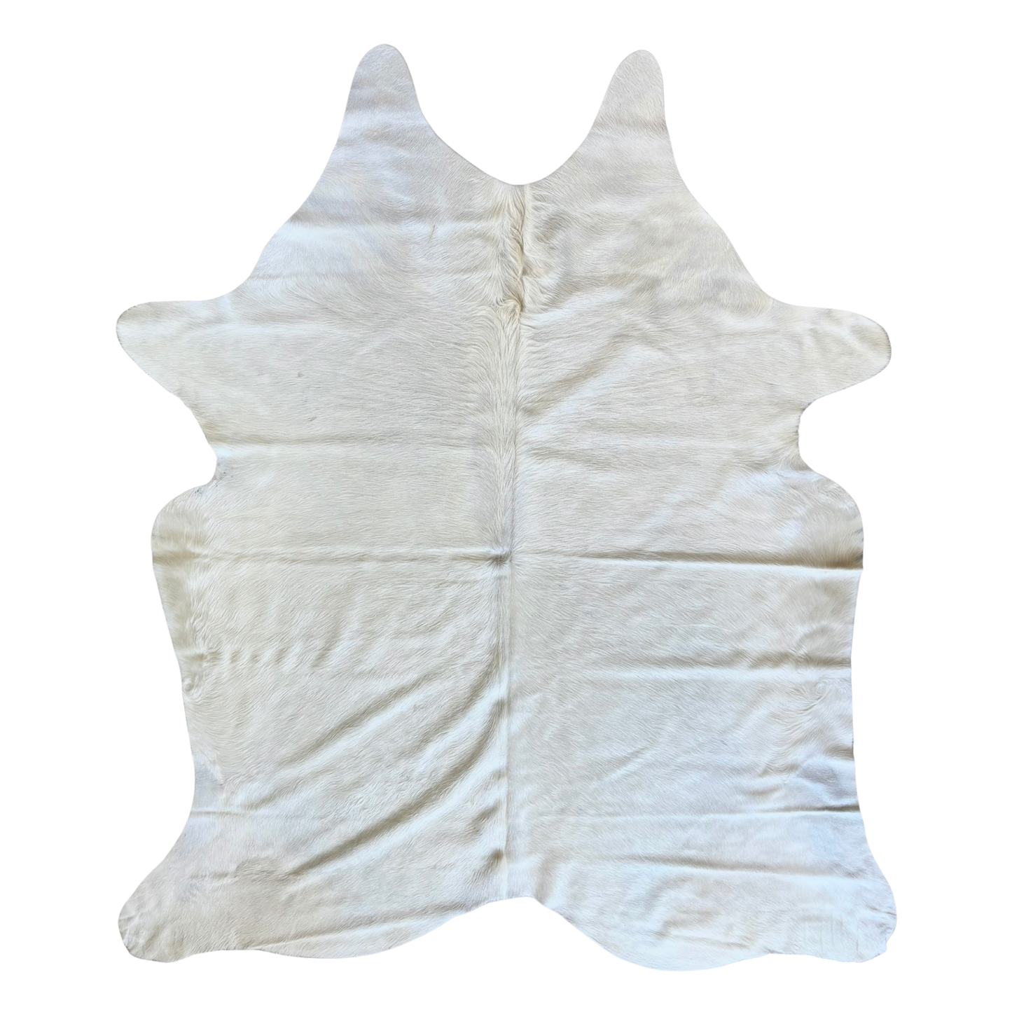 Solid Natural White, Premium Brazilian Cowhide, XL #2369 7'4"x6'7"