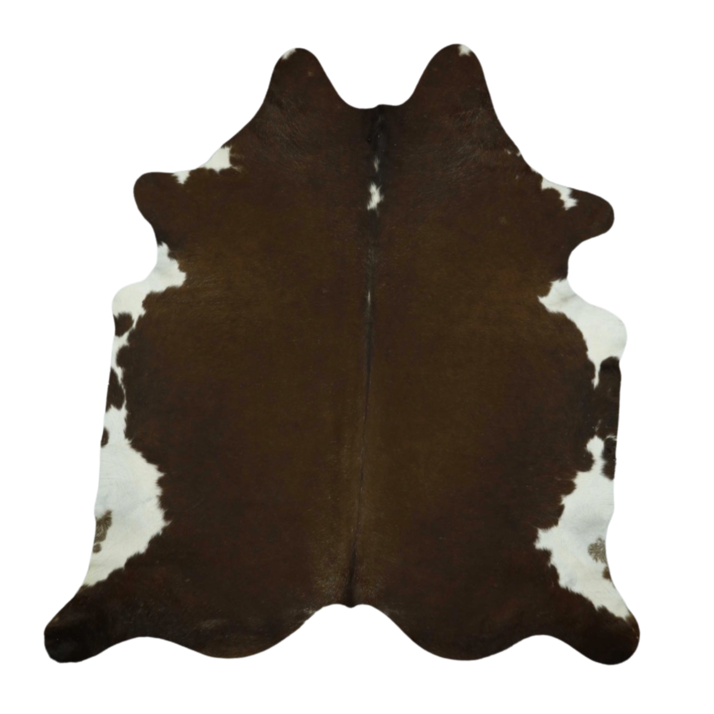Brown & White, Dark Premium Brazilian Hide, XL #4617 7'x7'