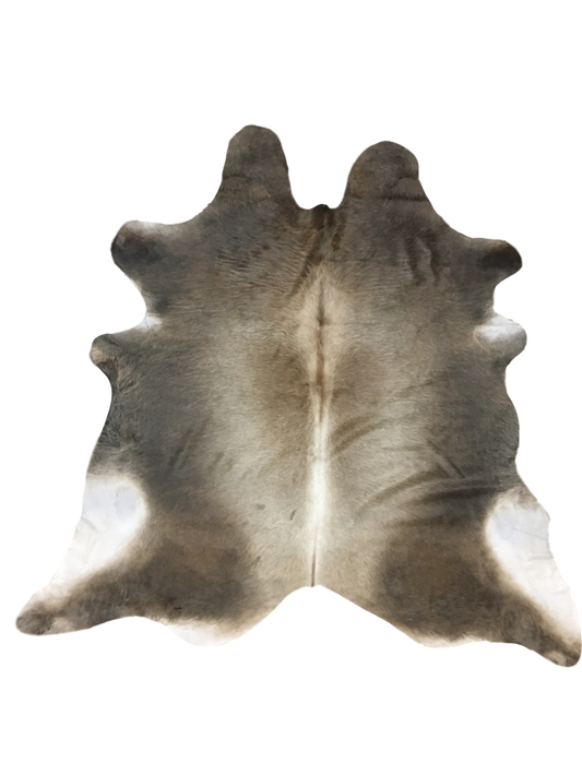 Nelore Premium Brazilian Hide, XL CH70N W